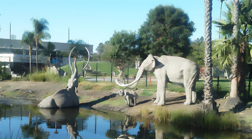 La Brea Tar Pits