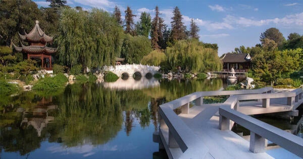 Huntington Library and Botanical Gardens